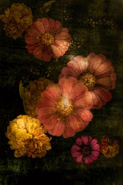 Artwork Image 1