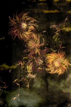 Artwork Image 1