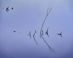 Artwork Image 1