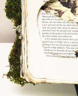 Artwork Image 2