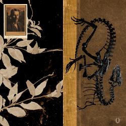 Artwork Image 1