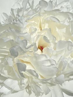 Artwork Image 1