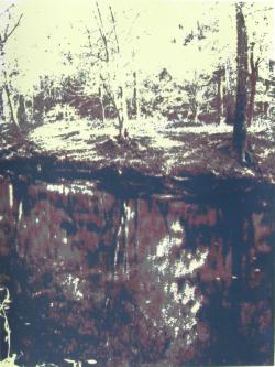 Artwork Image 1